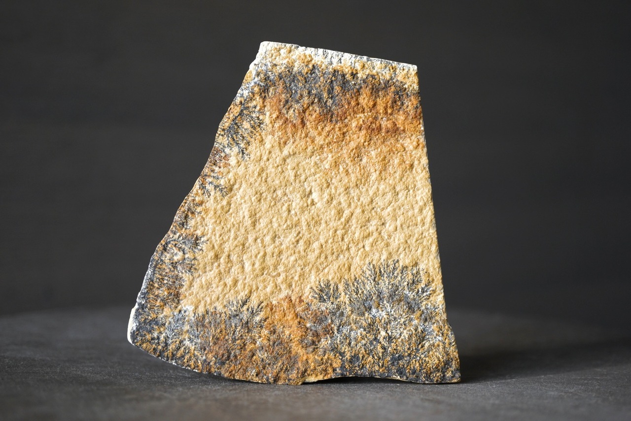 デンドライト 忍石 Dendritic limestone 1190