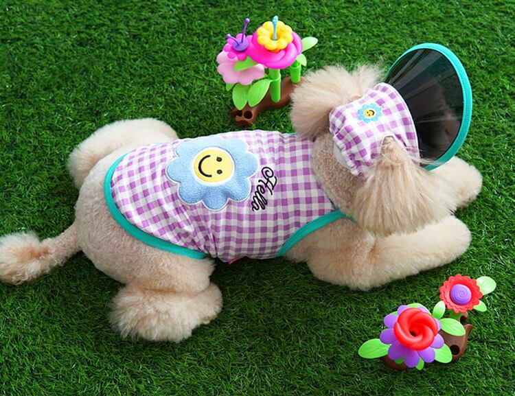 【SALE】 hello sun-visor set S ~ XL 2color / 犬服 夏 新作 サンバイザー 暑さ対策 可愛い 犬の服 ドッグウェア タンクトップ ペット ワンコ服 小型犬 中型犬 猫 top134