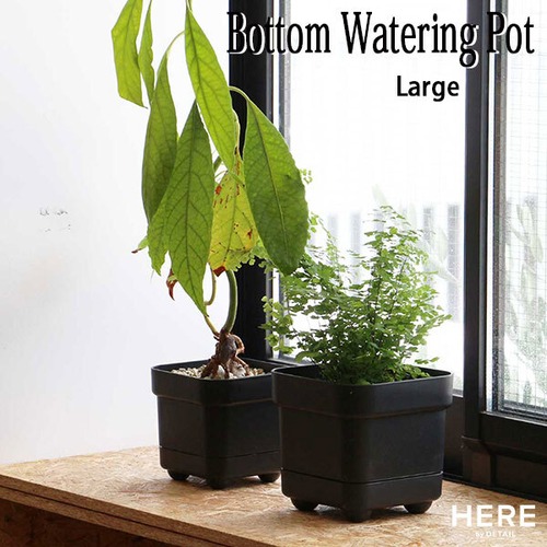 Bottom Watering Pot Large ボトム ウォータリング ポット ラージ 底面給水 植木鉢 プランター 観葉植物 ハーブ HERE by DETAIL