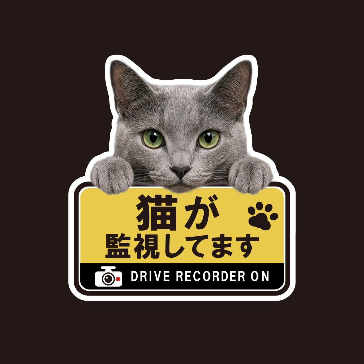 ロシアンブルー・猫・CAT・cat・ドライブレコーダー・ドラレコステッカー・撮影中・車・ステッカー・インクジェット印刷・角ゴシック・屋外用・猫好き・ドライブグッズ・監視しています・おもしろい・かわいい・肉球