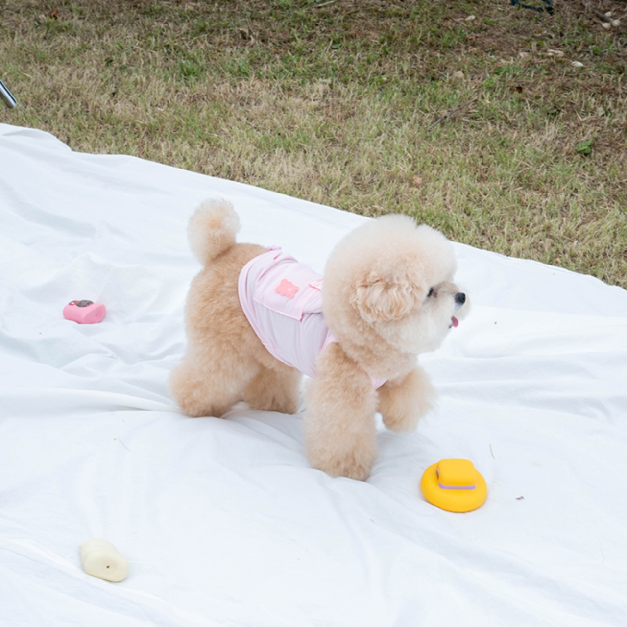 【PUPPYGARRERY公式】Big bear cooling tank　4XL-5XL