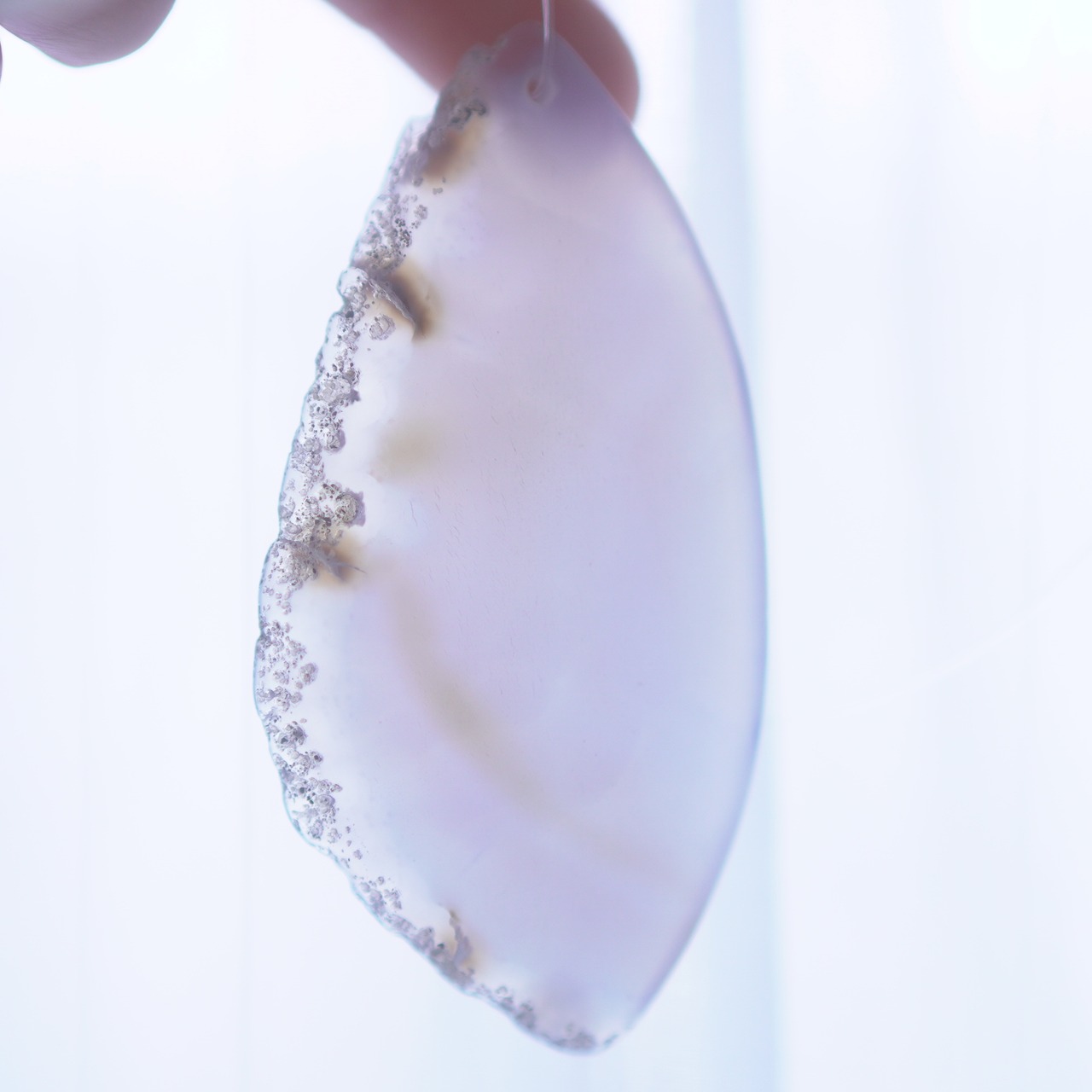 Winter Morning 03 - アゲートヒーリングチャイム / Agate Sun Catcher Wind Chime 368