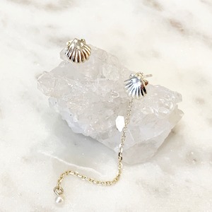 shell earrings