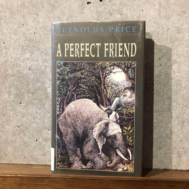 A PERFECT FRIEND