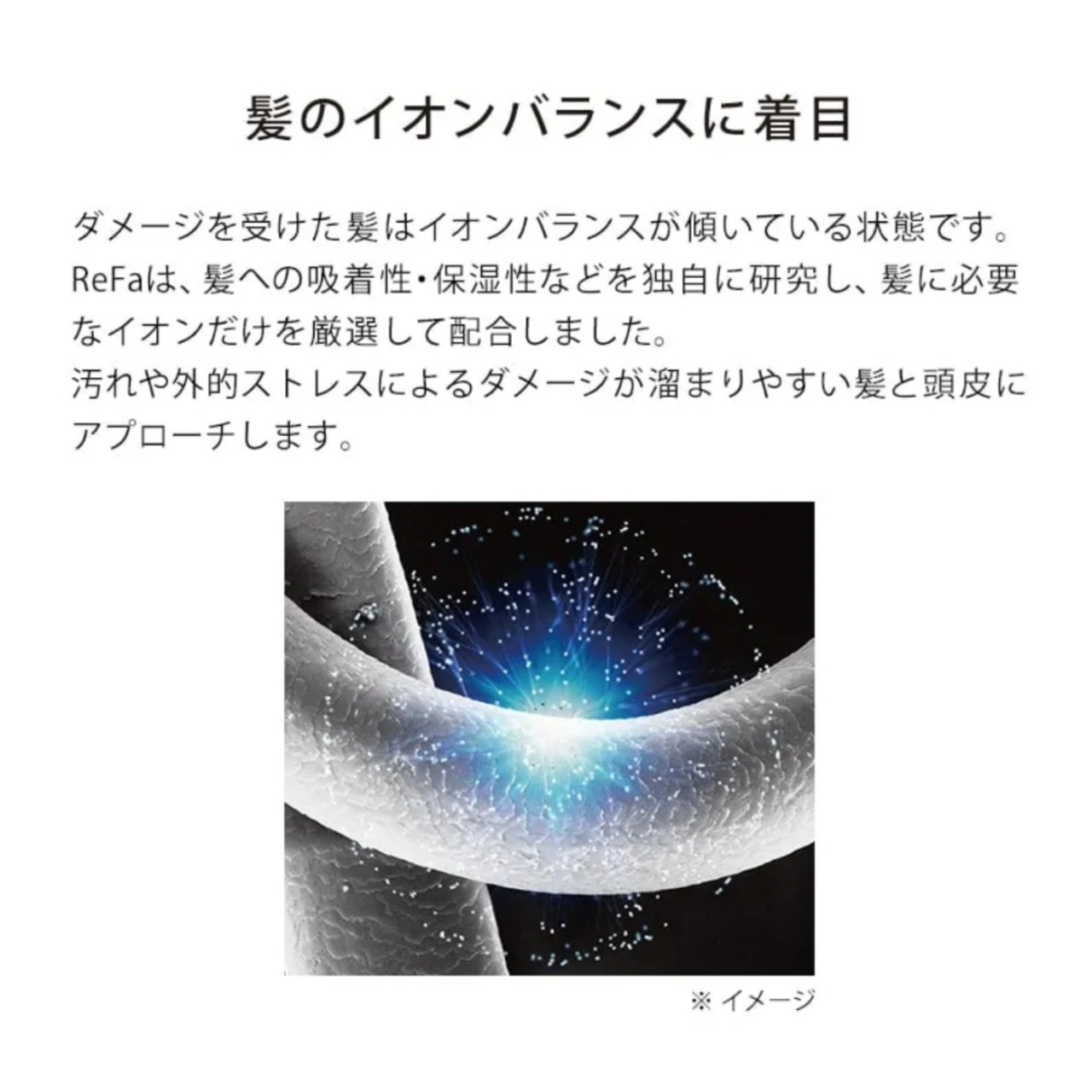 【会員制ストア限定販売商品】リファイオンケアシャンプー