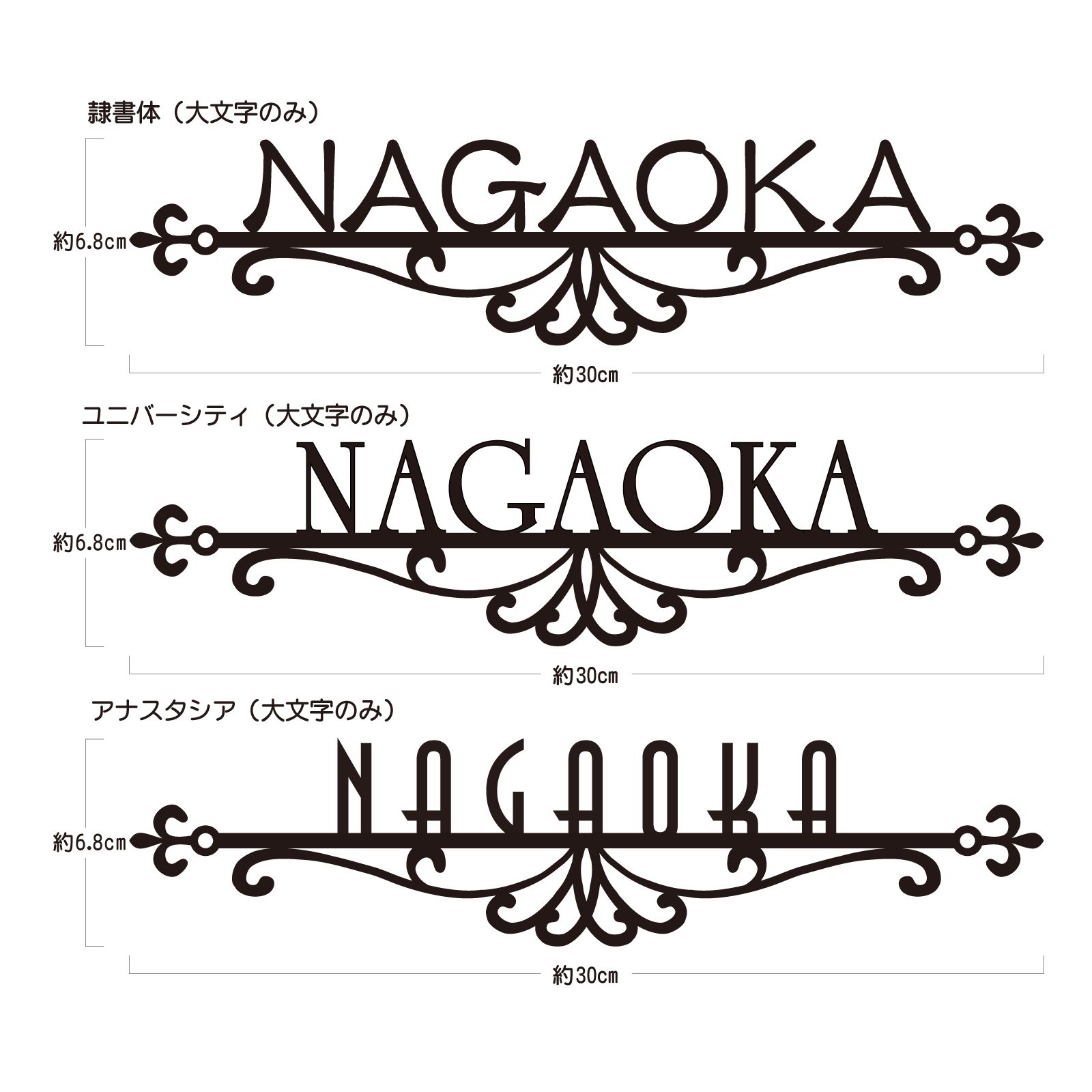 表札 ステンレス切り文字表札-クラシック HIK-07 ARASE