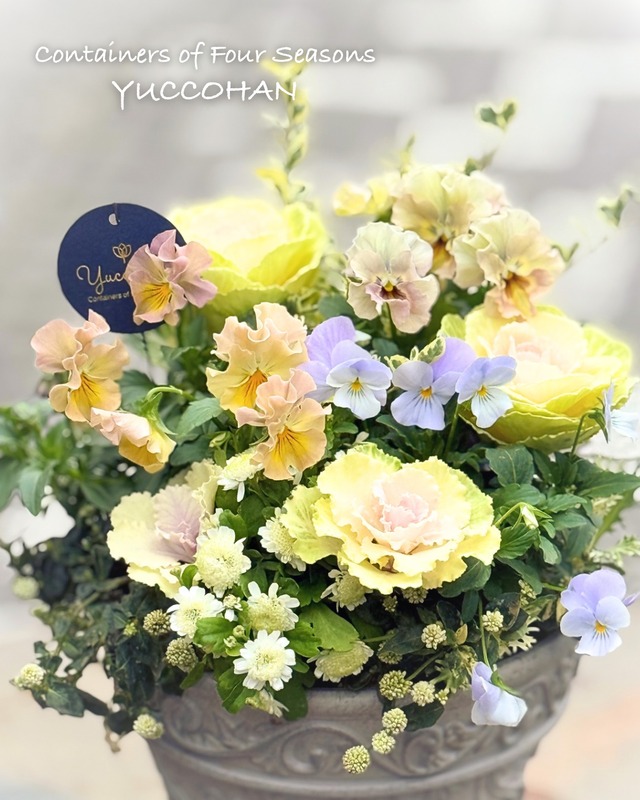 春まで楽しむ やさしい色合いの冬ギャザリング寄せ植え