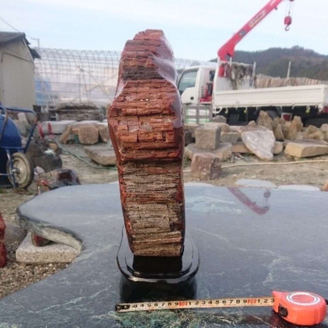アリゾナ産珪化木24.8キロ 庭石 鑑賞石 化石 原石 宝石 パワーストーン 