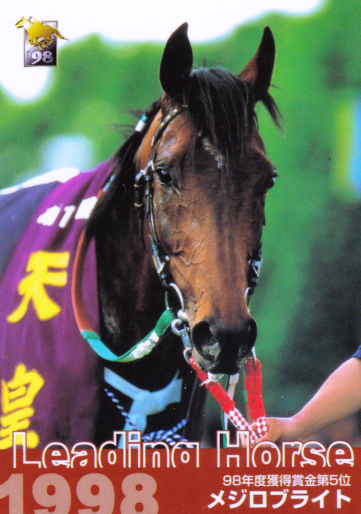 アグネスフライト：第67回 東京優駿(日本ダービー)出走馬