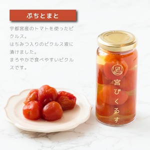 宮ぴくるす 無添加ピクルス ミニサイズ6種類セット｜栃木産野菜×老舗酢蔵仕込み おしゃれな贈り物にも
