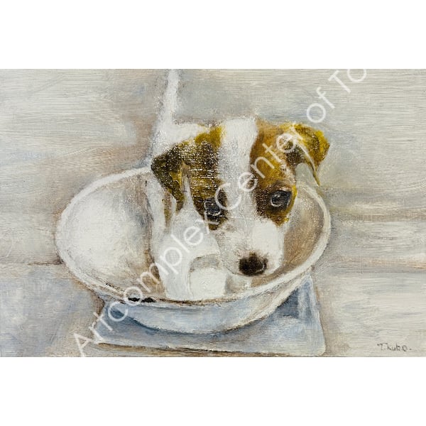 久保貴美(高屋敷哲&久保貴美)「ぼうる」