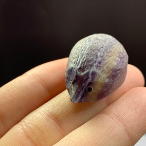 71大家族☆フローライトハリネズミさん