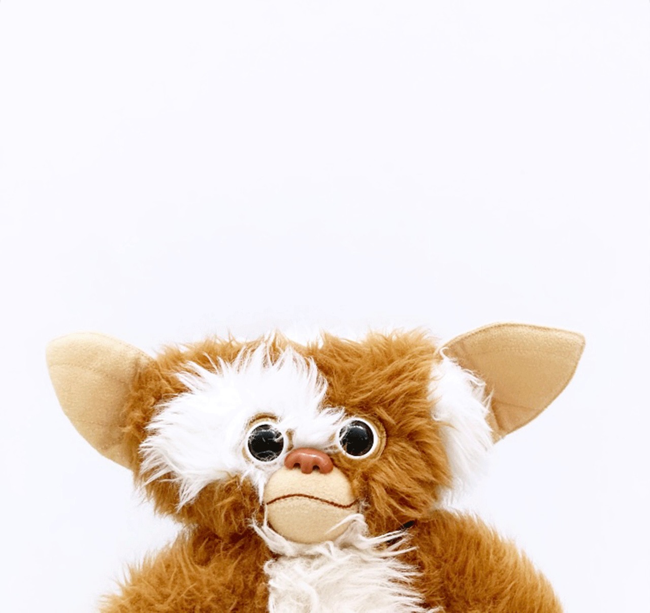 GREMLINS/グレムリン・applause/アプローズ・Plush/プラッシュ