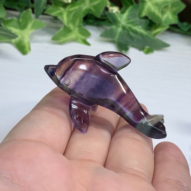 海のアニマル♪♪フローライトイルカのお家セット