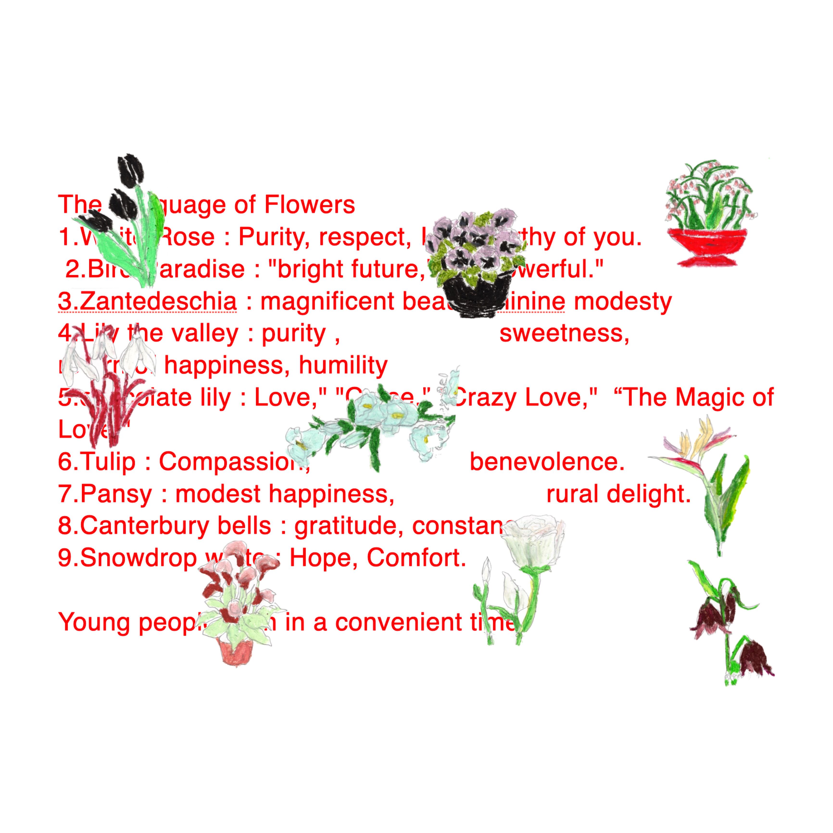 トップス convenience young Language of flowerstee Language of flowers tee | CONVENIENCE YOUNG