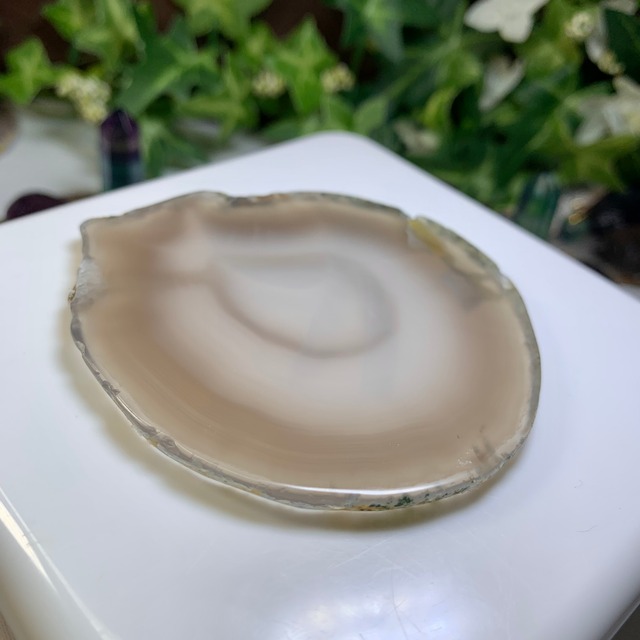 2.フローライトハリネズミさんの住処・~ハリーさんの休憩所~