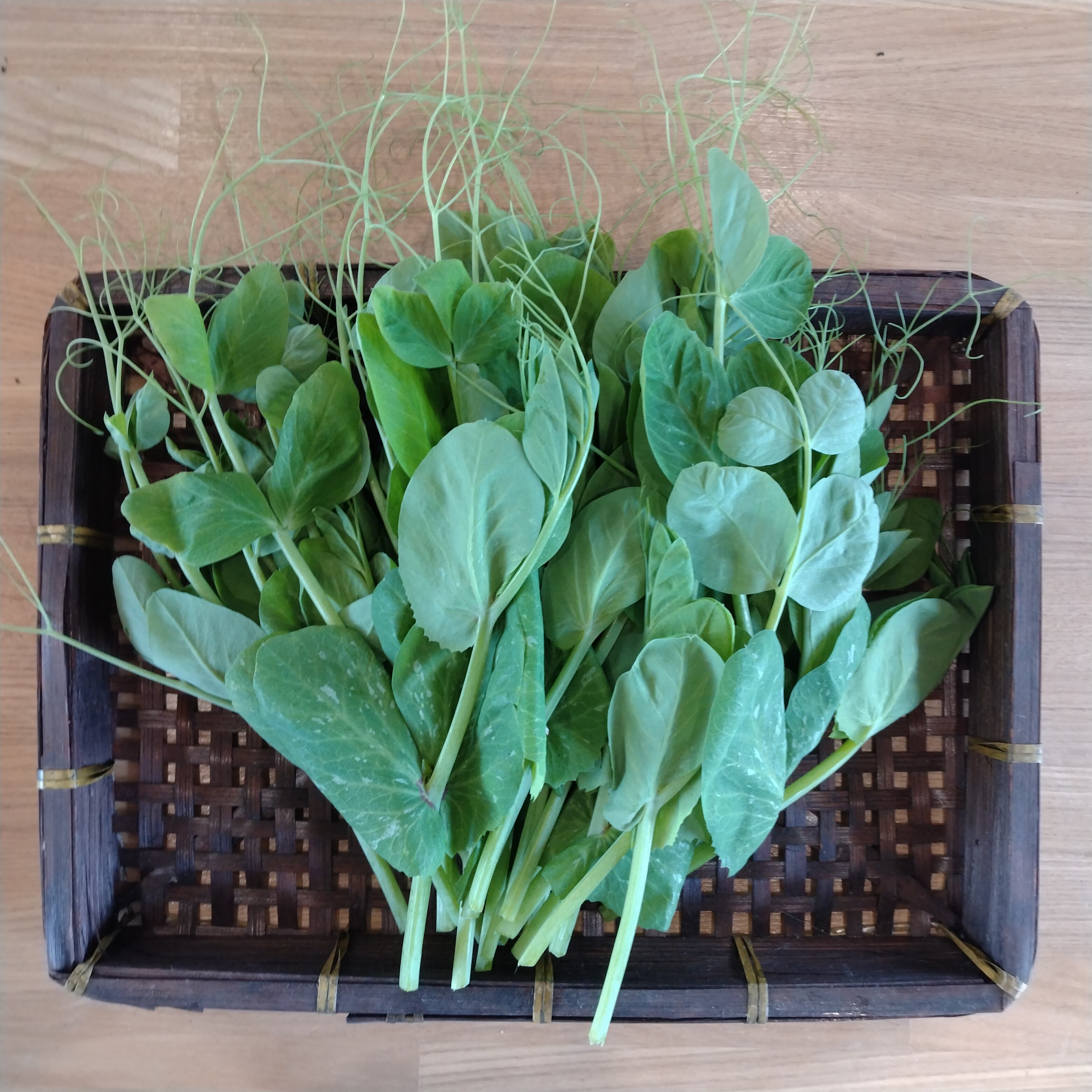 豆苗(本豆苗・つる有り) 100g/中国野菜