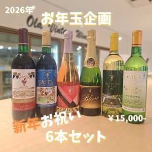 【2026お年玉企画】新年お祝い6本セット