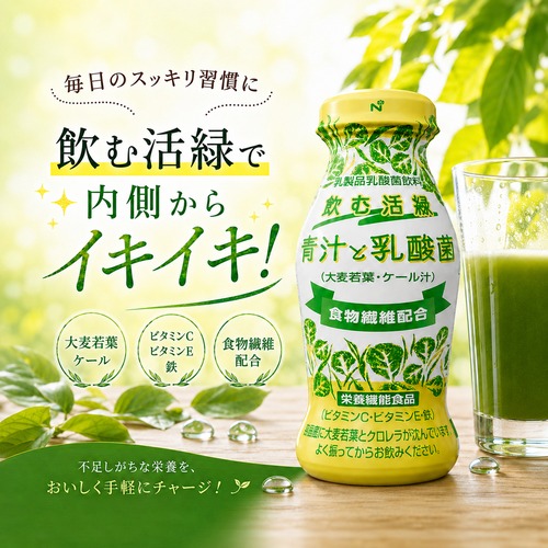 青汁と乳酸菌　12本入り