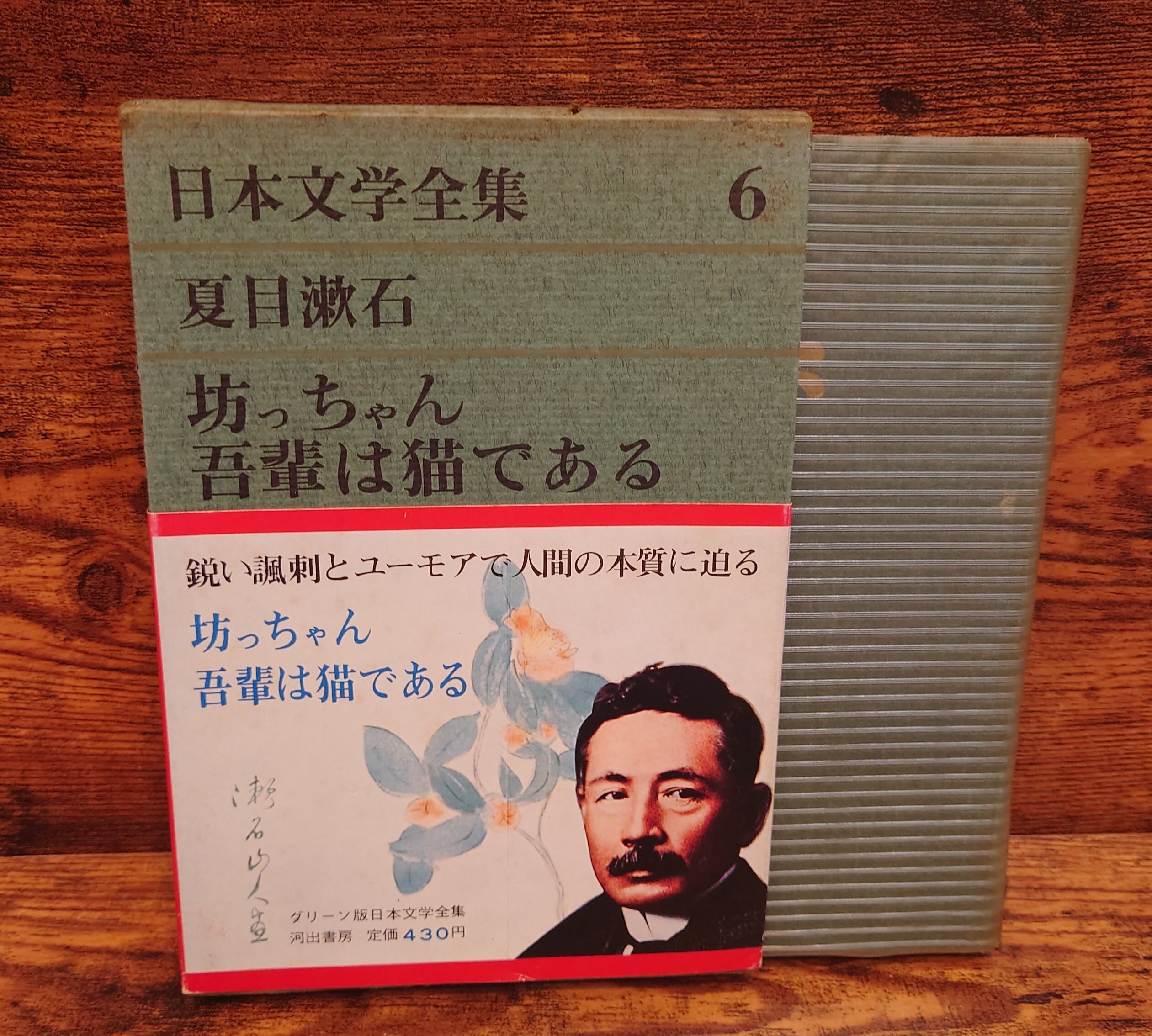 現代日本文学 22 田宮虎彦集 | 弥生坂 緑の本棚