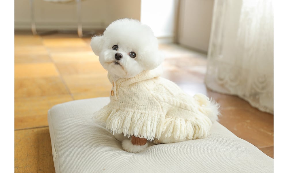 予約】[ba&ttang] poncho knit coat (ivory) | LUANA DOG