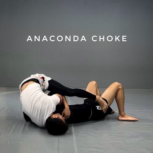アナコンダチョーク