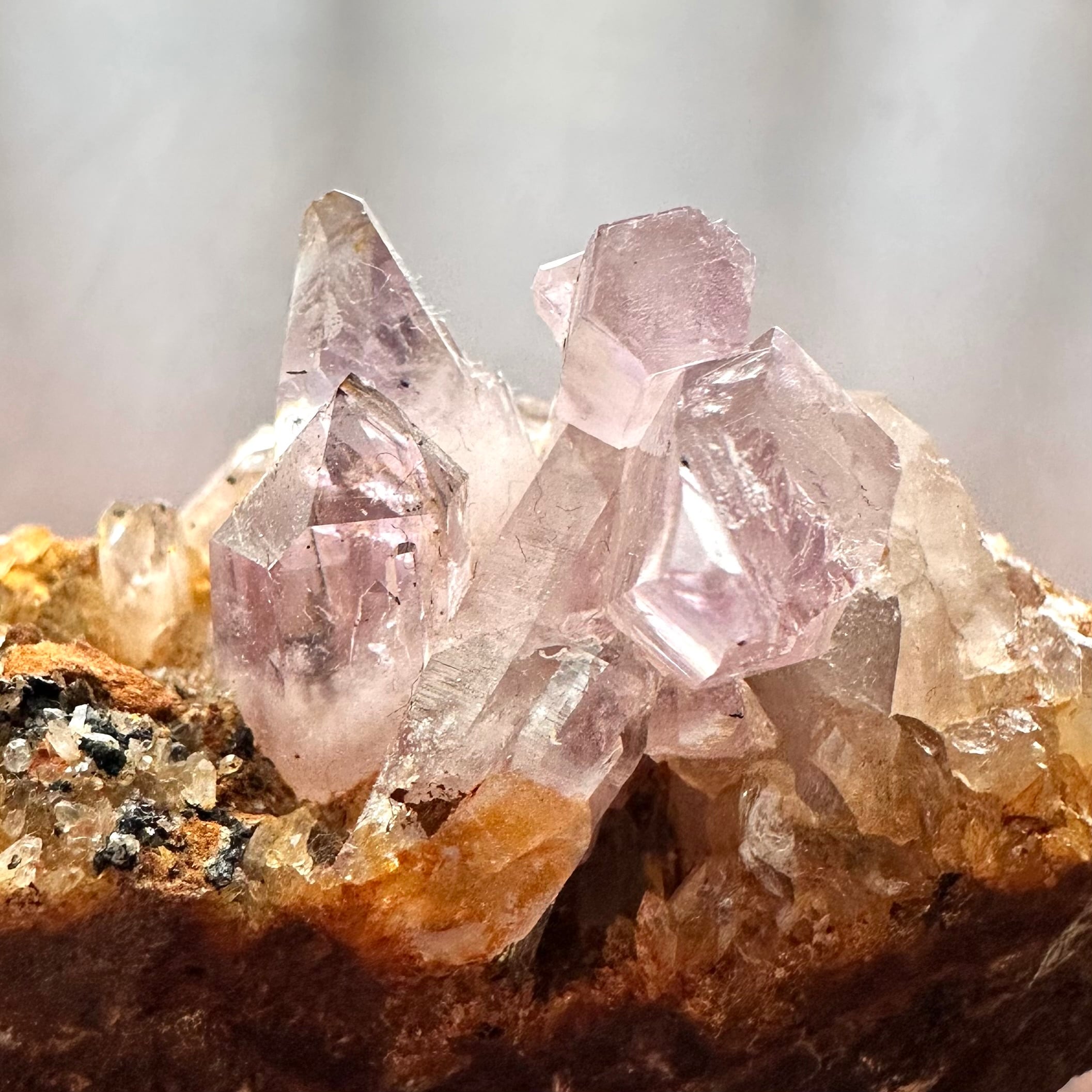 国産鉱物 宮城県産 紫水晶詰め合わせB アメシスト【Amethyst】日本(宮城県)産 | PEANUTS MINERALS