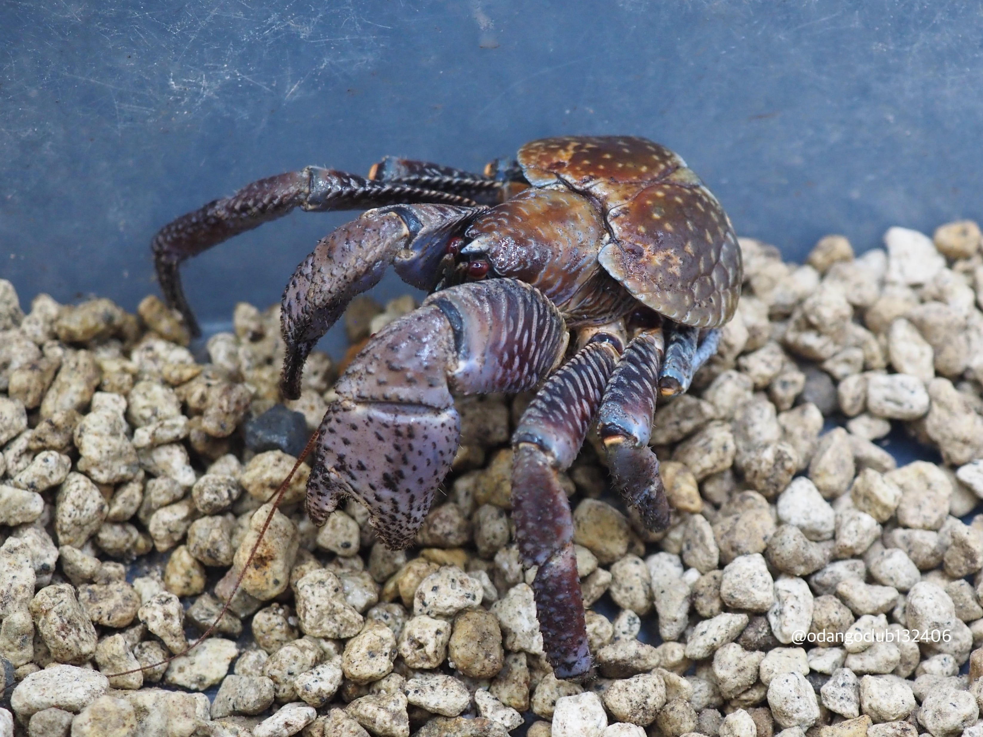 312d8578cfbdba8217a6770d9a9ddc