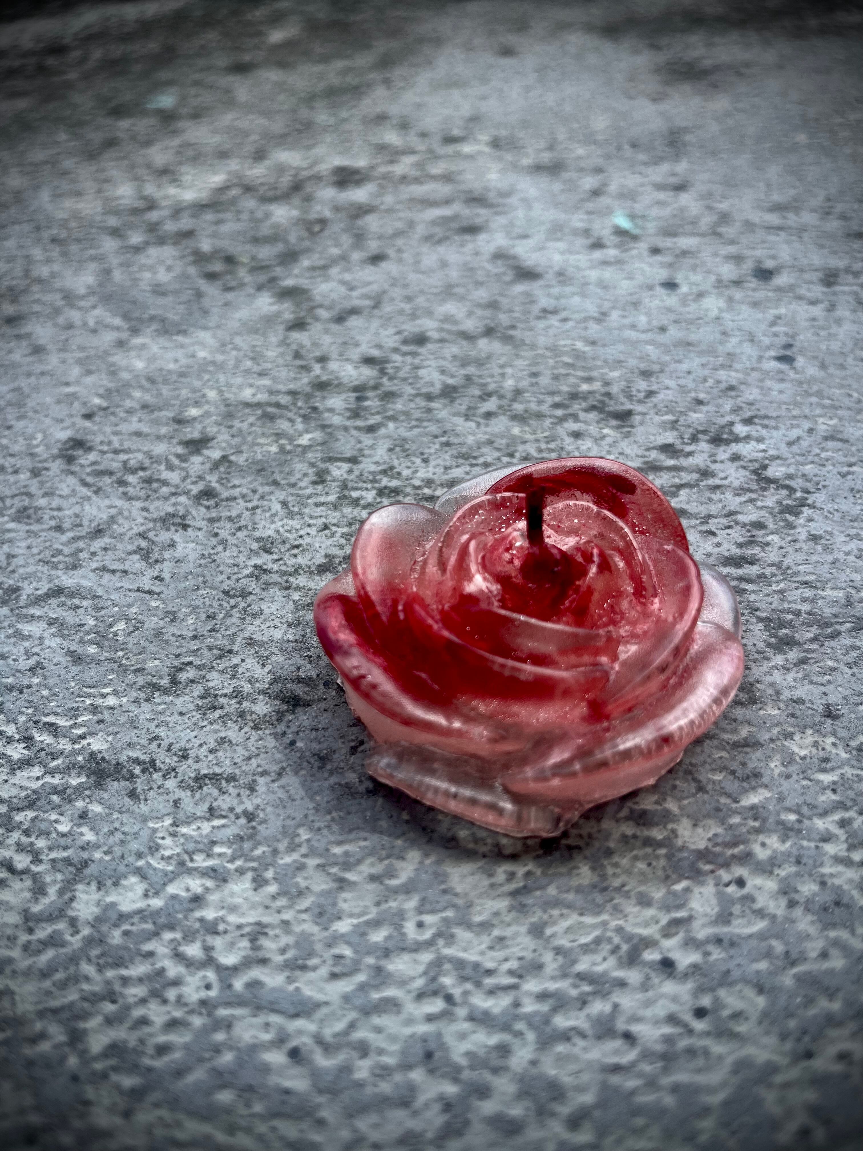 FIORE SULL'ACPUA CANDLE