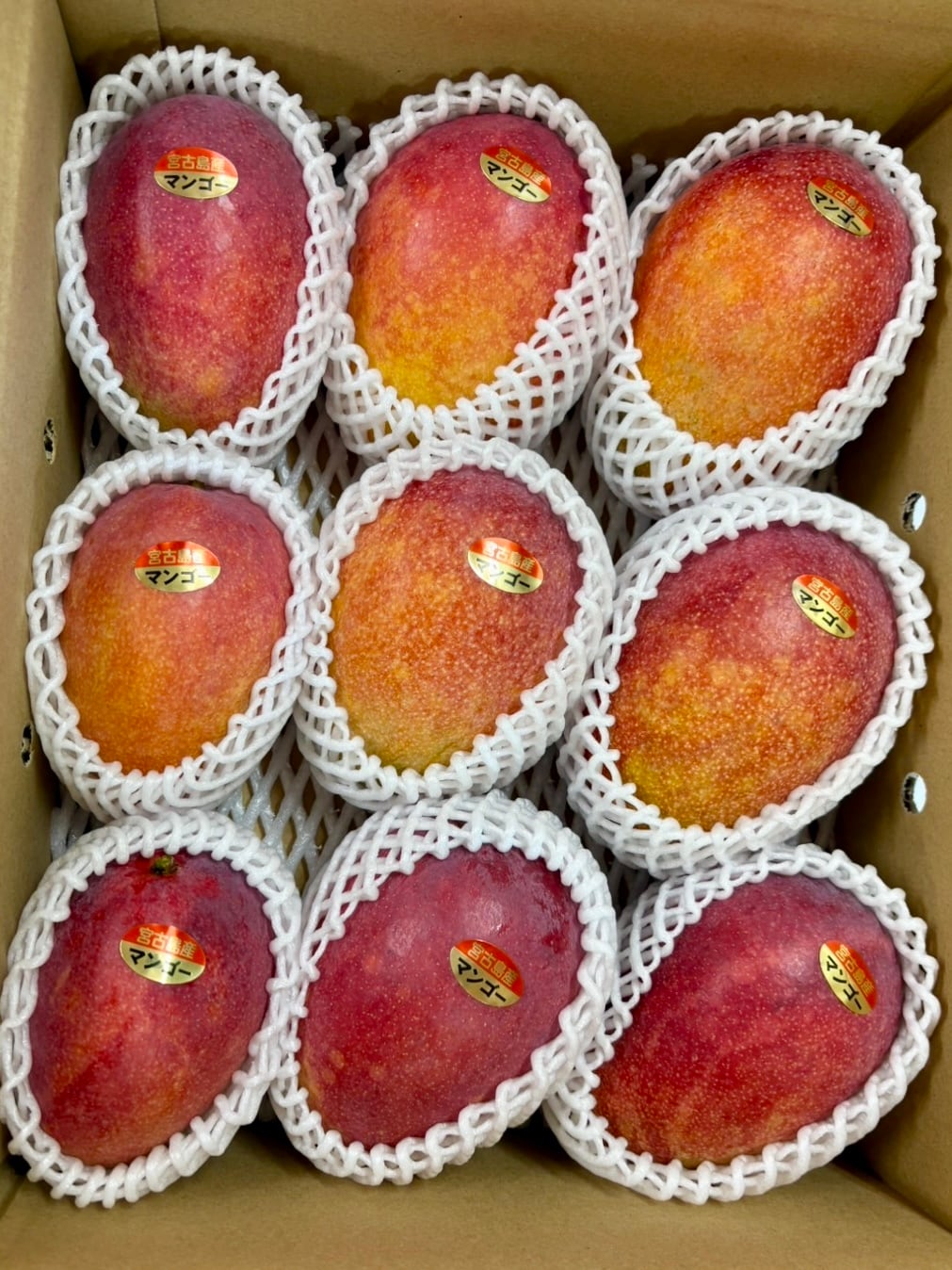 予約販売・送料込み】【家庭用】宮古島産 完熟マンゴー 約4kg (9〜10玉