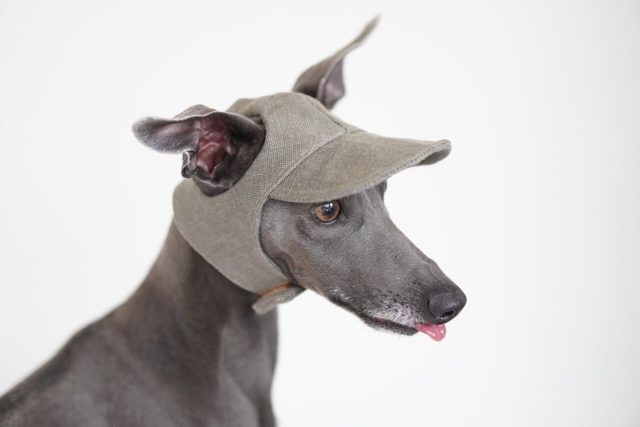 Canvas Cap Vintage Wash Iggy Cap Bacio