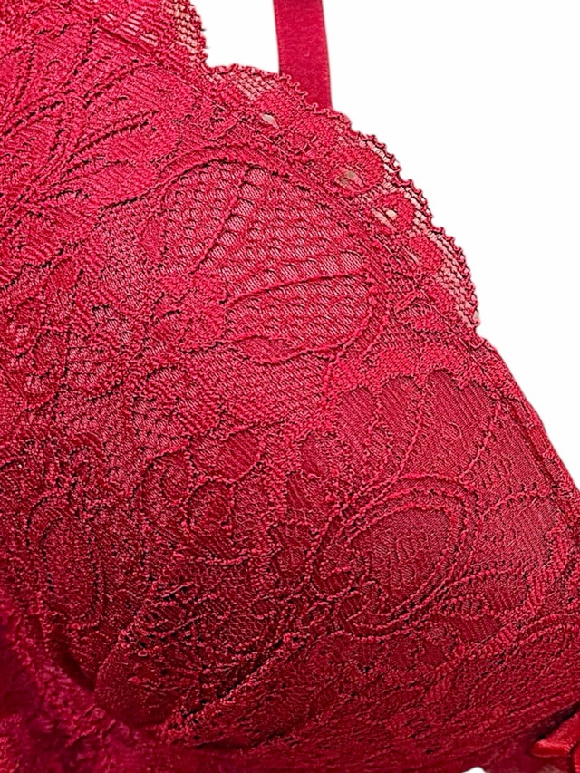 EFカップ【5003レッド】美胸を叶える着け心地バツグンのブラセット