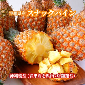 【全国送料無料】沖縄県産スナックパイン1.6kg以上(2玉〜3玉)ちぎって食べる パイン パイナップル ボゴール種 沖縄 フルーツ 果物 盛り合わせ お中元 お歳暮 ギフト 贈り物 父の日 母の日 出産祝 手土産 結婚祝 プチギフト