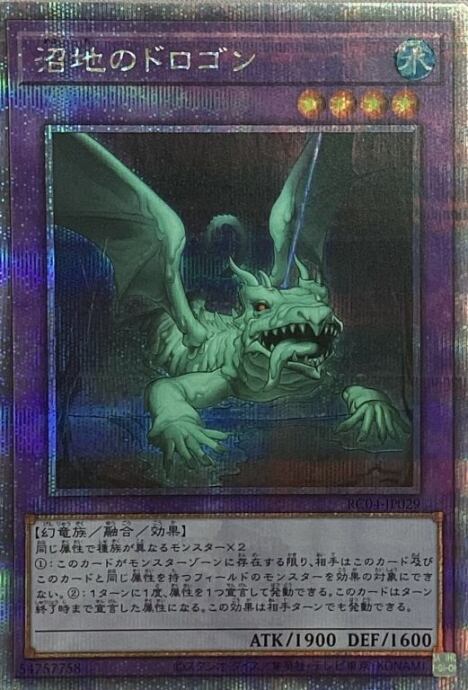 【美品】沼地のドロゴン(25th)