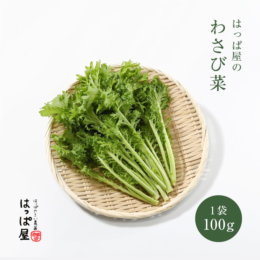 わさび菜／1袋100g | はっぱやさい農園 はっぱ屋