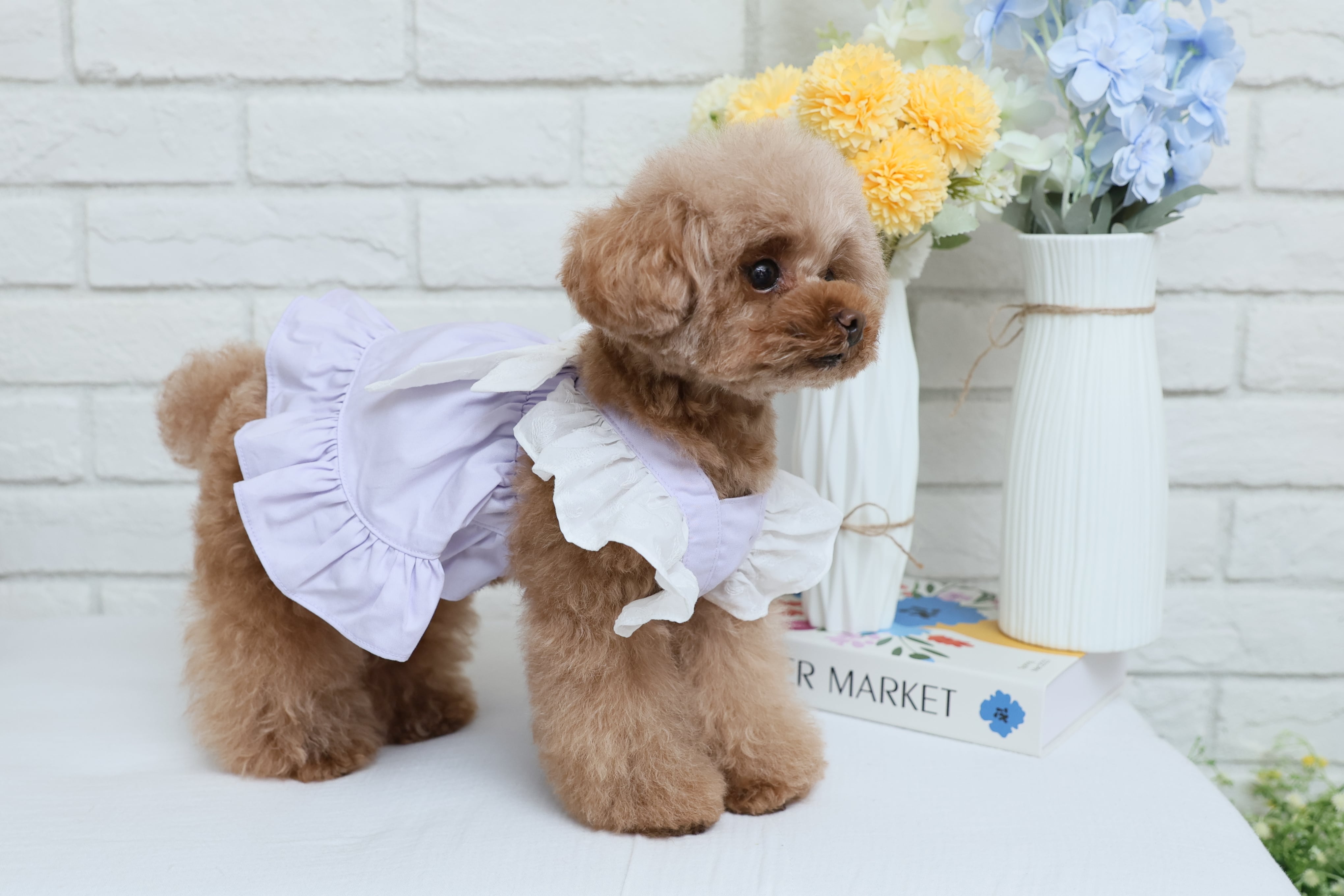 Classical Dress/ラベンダー