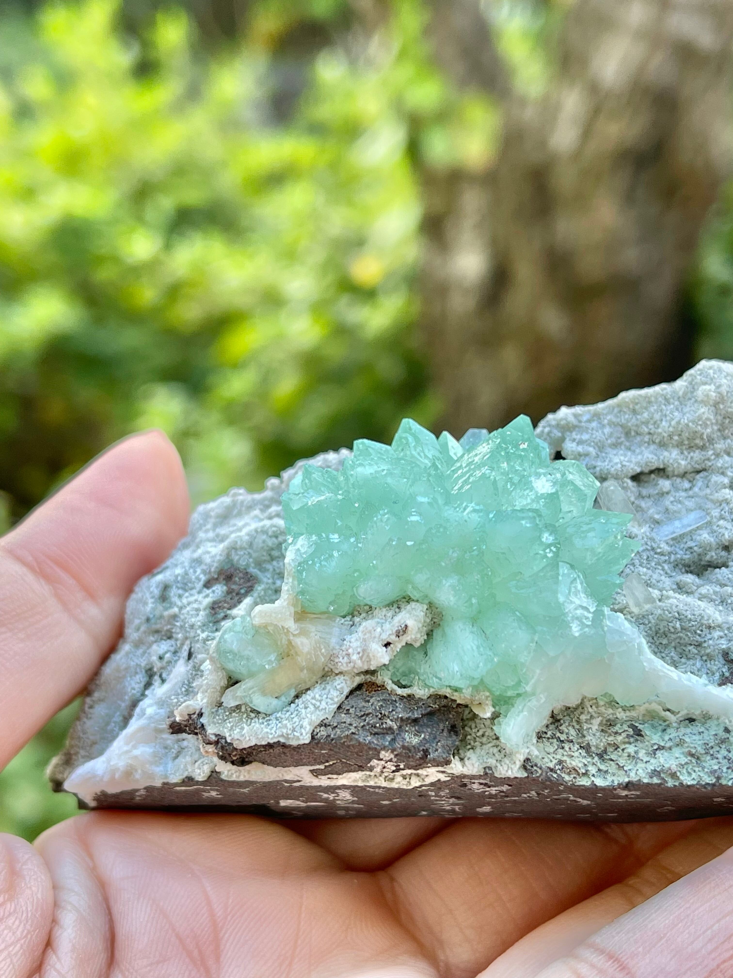 エクストラグレード　グリーンアポフィライト　No.01