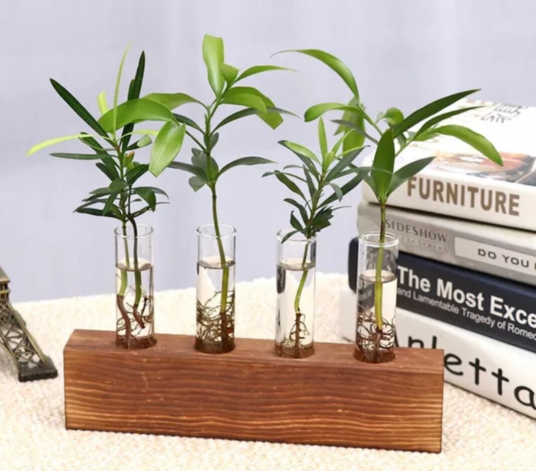 試験管一輪挿し4連 | La Prosperidad