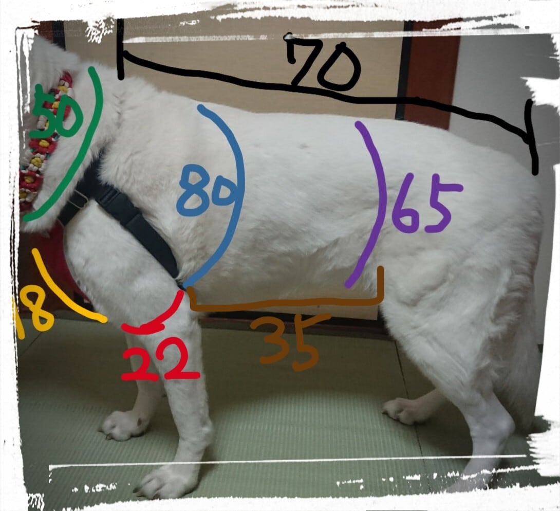おっきいわんちゃん用 ペット用お遍路白衣 巡礼白衣 輪袈裟付き 3点