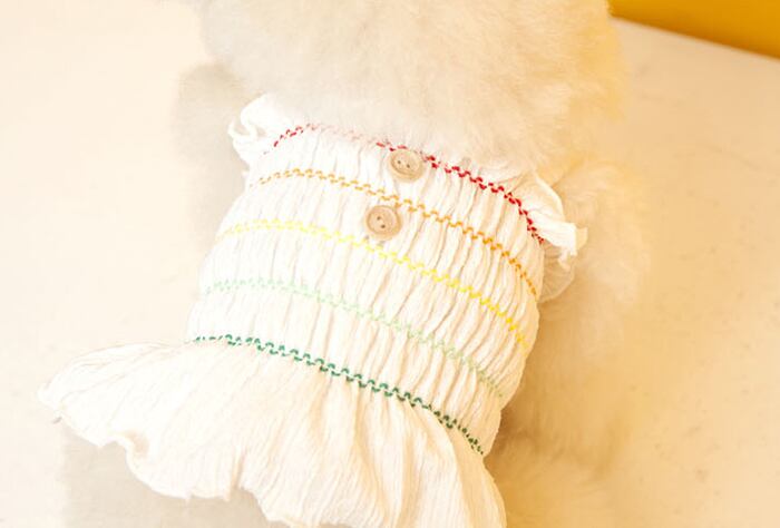 【SALE】 Rollin croptop S ~ 2XL 6color / 犬の服 犬服 新作 ショート丈 お揃い クロップドトップス 小型犬 中型犬 ペット洋服 ドッグウェア ペット用品 b37
