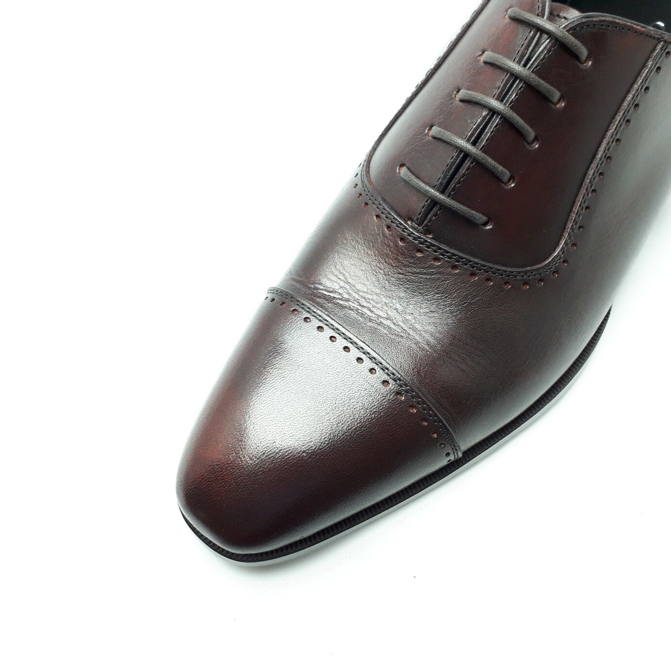 Adelaide brogue【ORG-008 WIN】