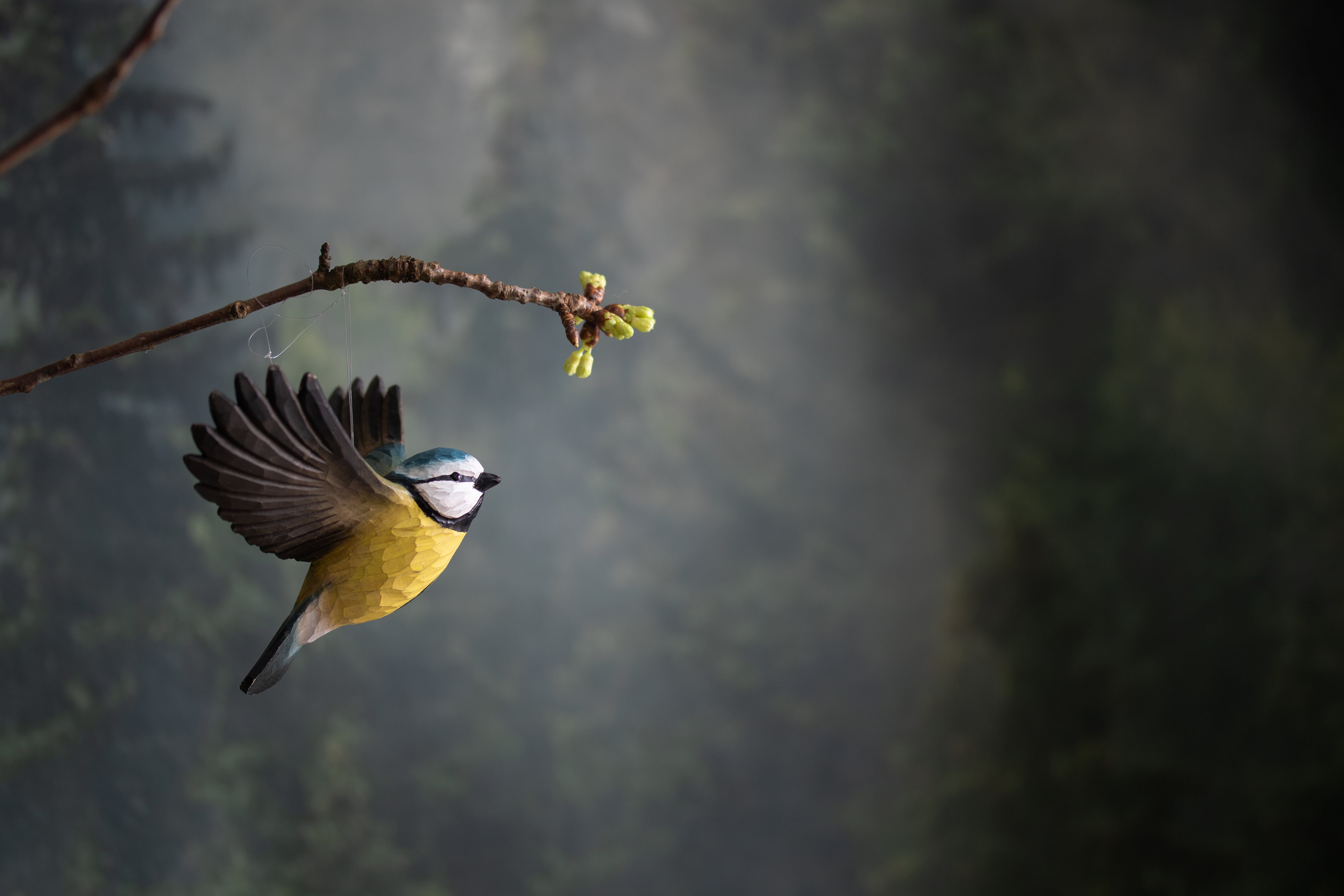 Wildlife Garden】木製DecoBird / 飛翔するアオガラ / Flying Blue Tit