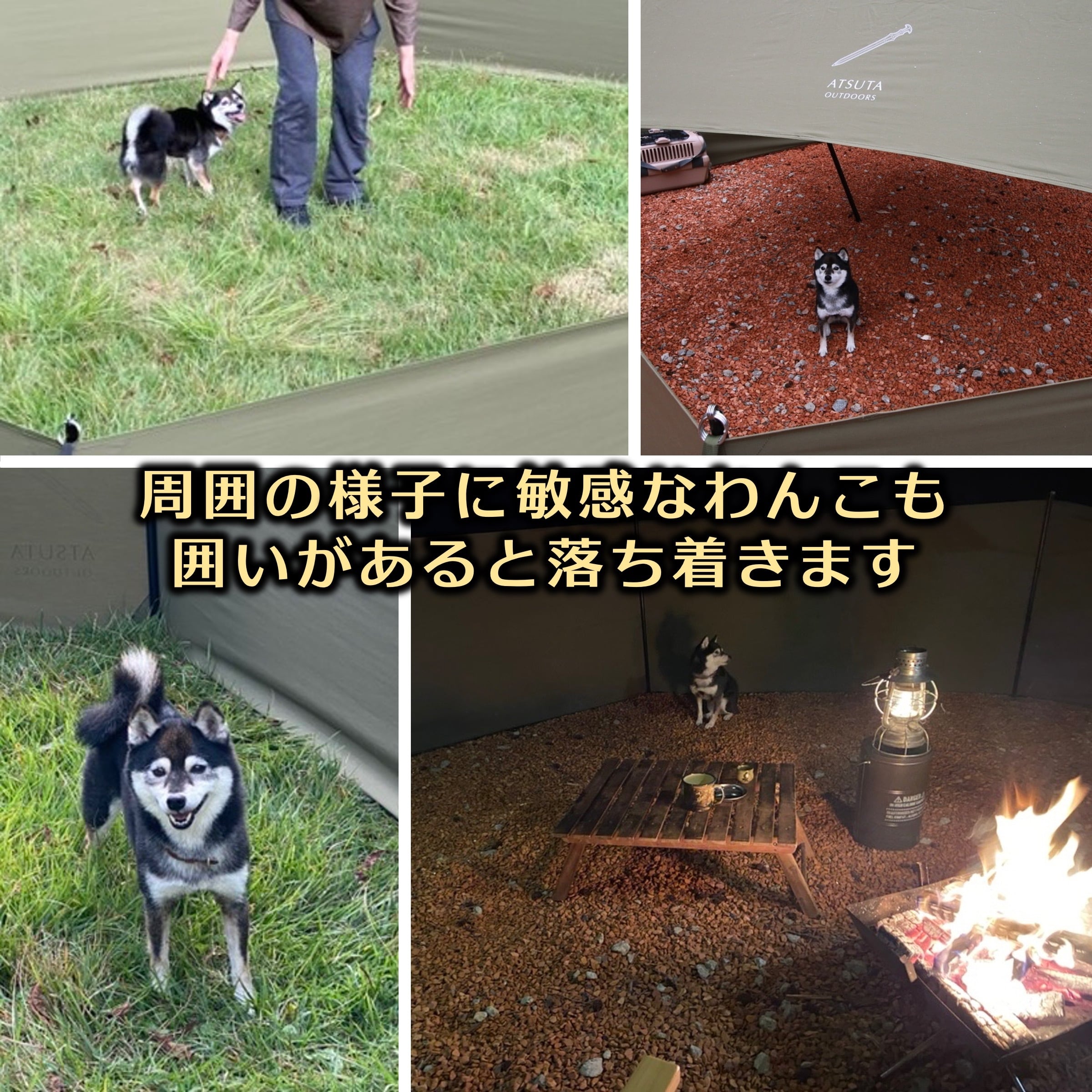 生産終了】ワン・フィールド（ドッグ・フェンス） | 熱田野営具店