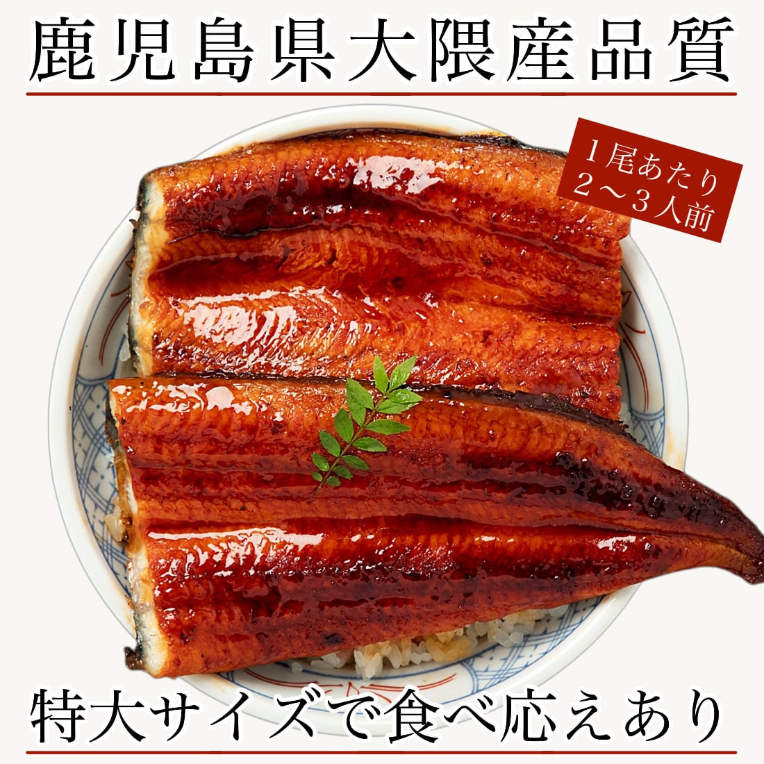 母の日 鹿児島 大隅産 国産 うなぎ 特大 約190g 【ギフト対応可】 自宅