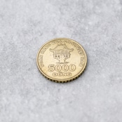 ベトナム 5000ドン コインリング|VIETNAM 5000DONG COINRING