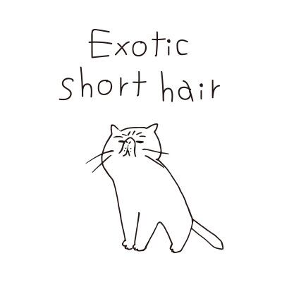 バックステージパス★王冠猫Tシャツ エキゾチックショートヘアー