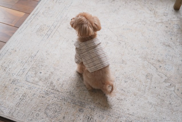 【ふわふわツイードボレロ】