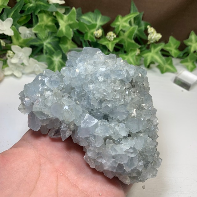 6.空色セレスタイトに住み着いているフローライトハリネズミさん