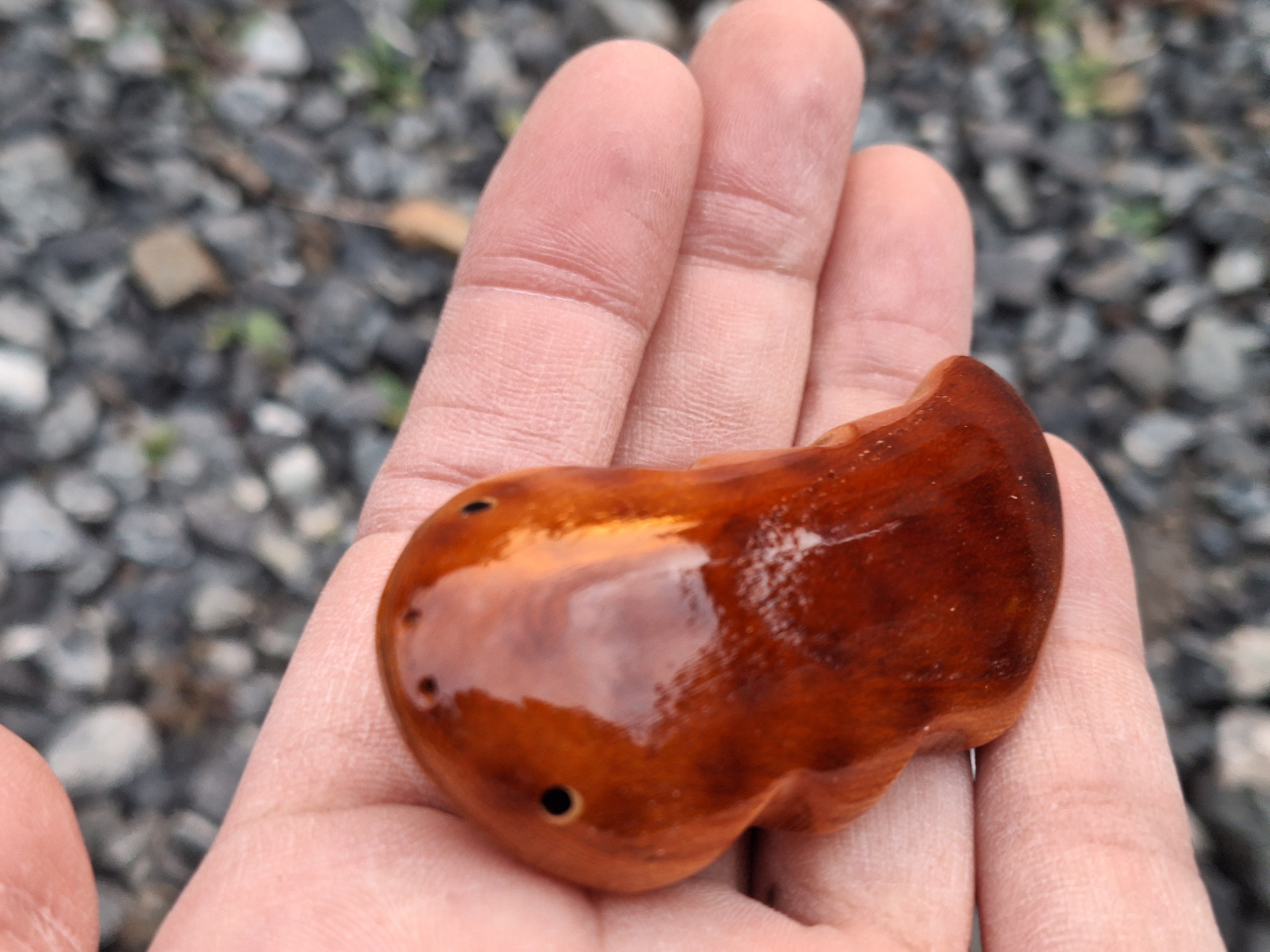オオサンショウウオのブローチ brooch アクセサリー | 工房西岡