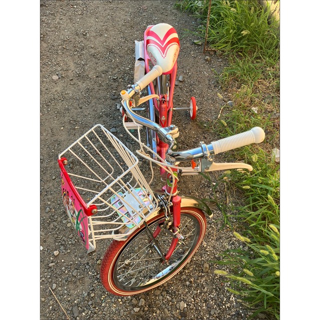 FUJI ブンブン みなしごハッチ 子供用自転車(鍵付)】 | ALL 